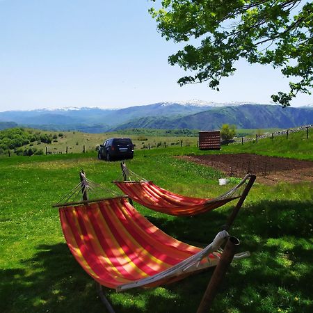 Penzion Suri Plužine Exteriér fotografie