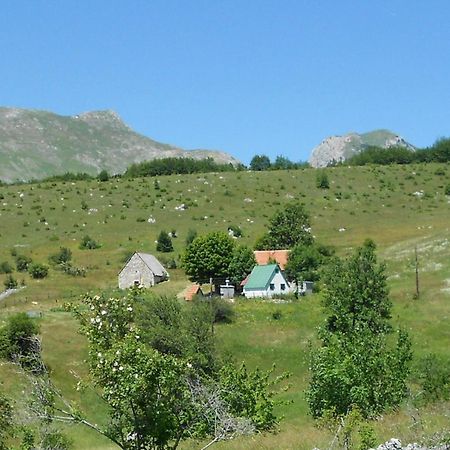 Penzion Suri Plužine Exteriér fotografie