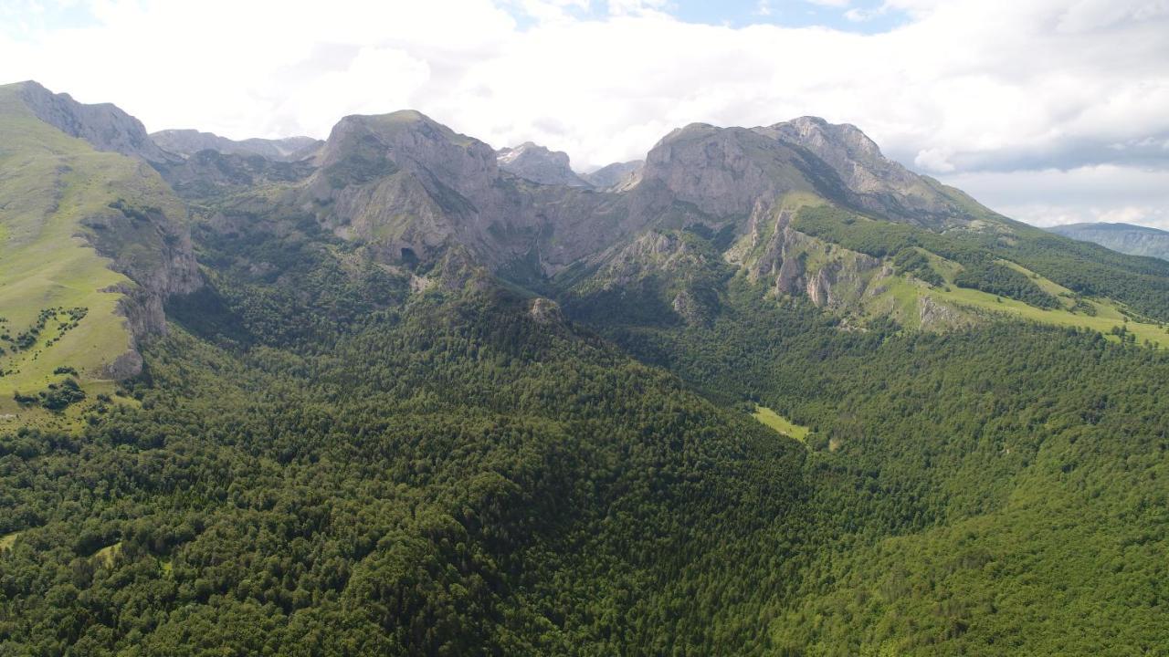 Penzion Suri Plužine Exteriér fotografie