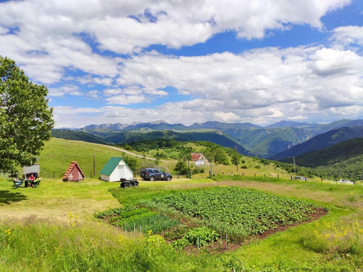 Penzion Suri Plužine Exteriér fotografie