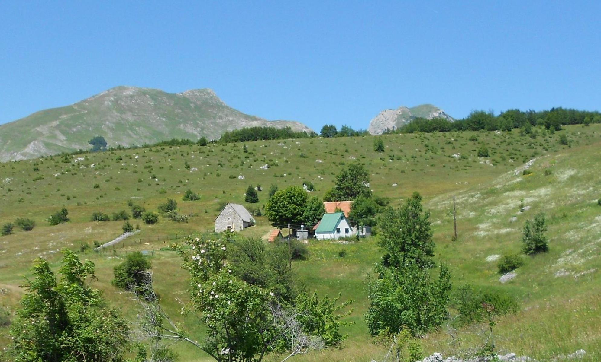 Penzion Suri Plužine Exteriér fotografie