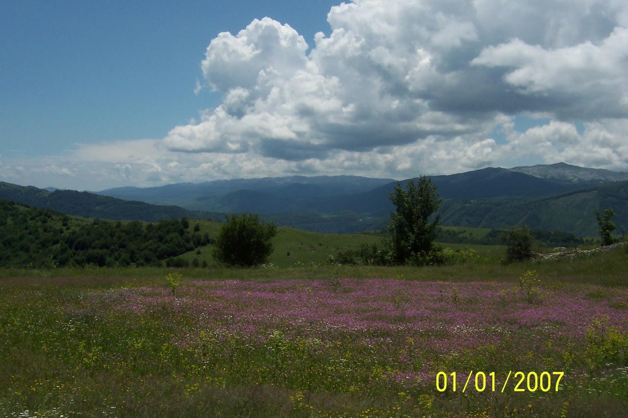 Penzion Suri Plužine Exteriér fotografie